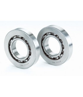 Rulment 6008/85  ISB