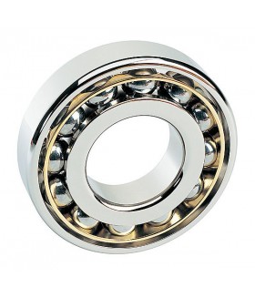 Rulment RLS 25.1/2 V3 FAG ( CRL 60,LRJ 7.1/2)