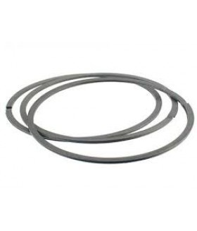 Inel de fixare dublu lamelar  ASD 206*8*224