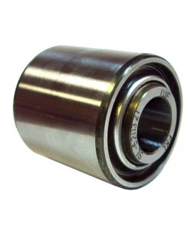 Rulment SL 5203 2T FKL