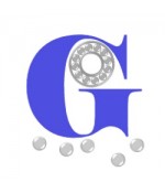 Garnitura  TSN 524 G SKF 